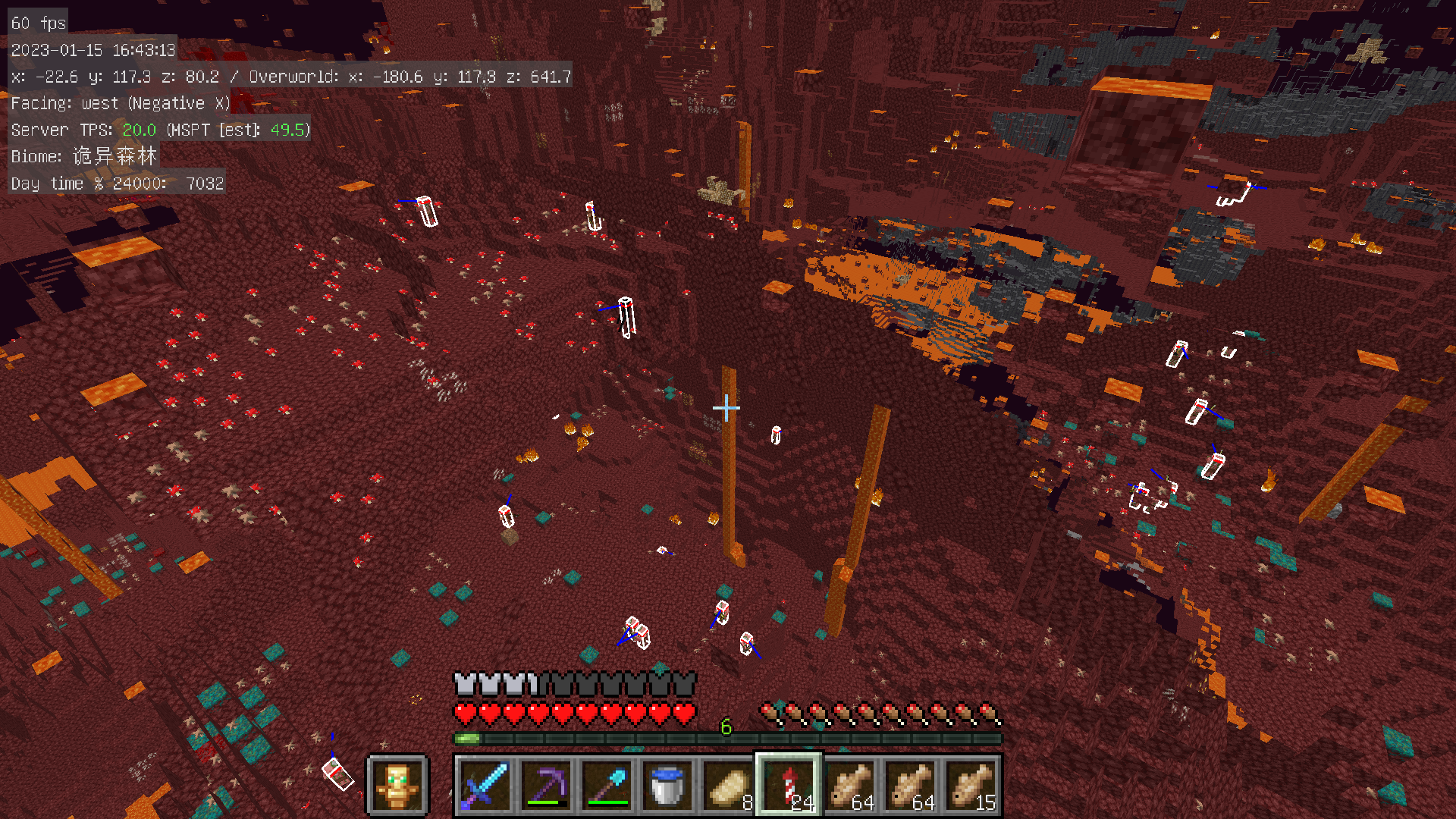 图片加载失败! 这是第三张图片, 下界荒地的大片空地被蘑菇占领